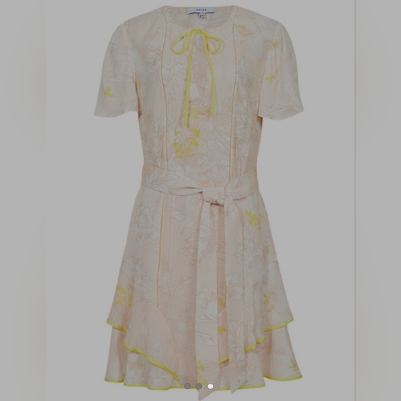 Reiss Carlotta Short Flutter Sleeve Dress in Blush Size US 4 - Picture 4 of 16